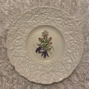 Royal Cauldon Bristol Ironstone Woodstock “Cardinal Flower” Floral Plate